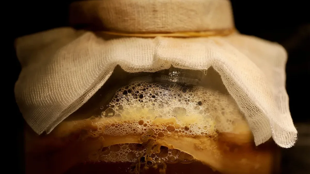 A glass jar with a cloth covering the top, containing a brown liquid and visible fermentation bubbles.
