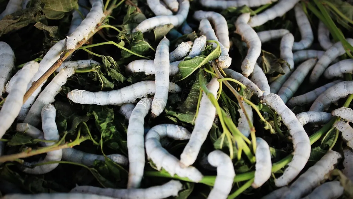 A pile of silkworms and leaves.