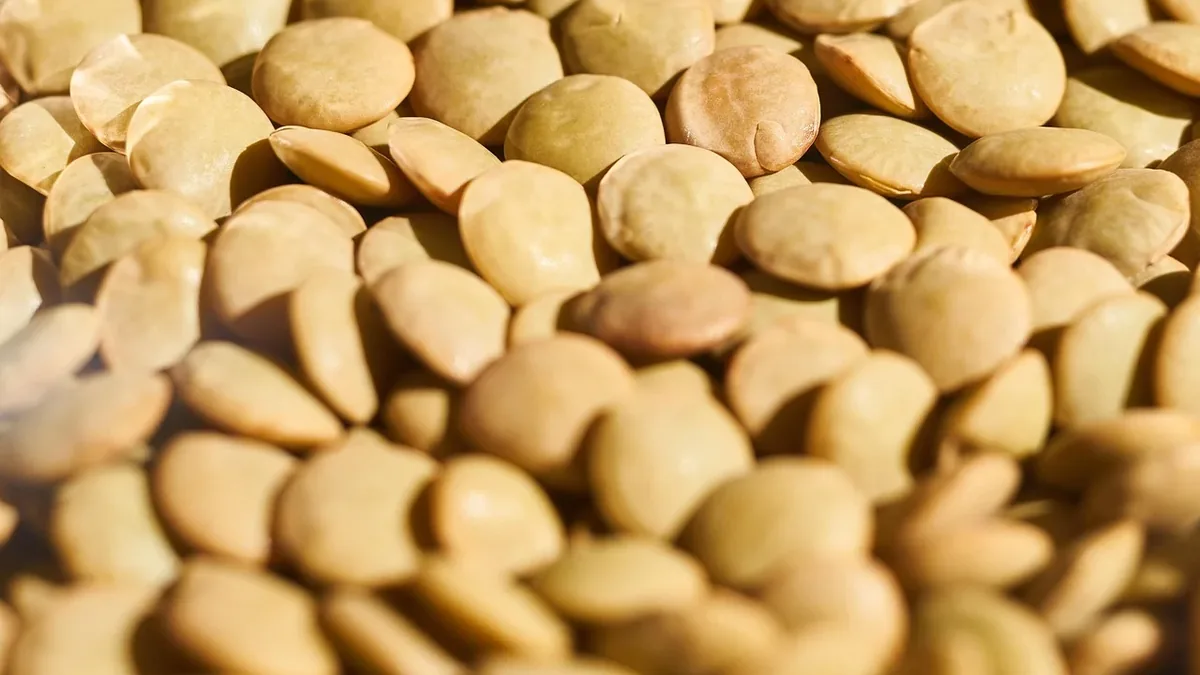 A close-up view of a pile of tan-colored lentils.
